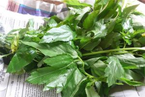 Health Benefits Of Ewedu leafs