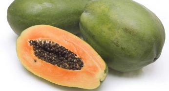 Top 7 Anti-Aging Foods To Keep You Looking Youthful
