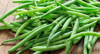 Benefits Of Eating Green Beans: Nutrition & Health Boost