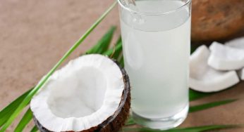Utazi Leaves( Bitter Herbs) And Coconut Water