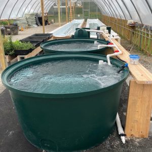 How To Start A Fish Hatchery Business In Nigeria