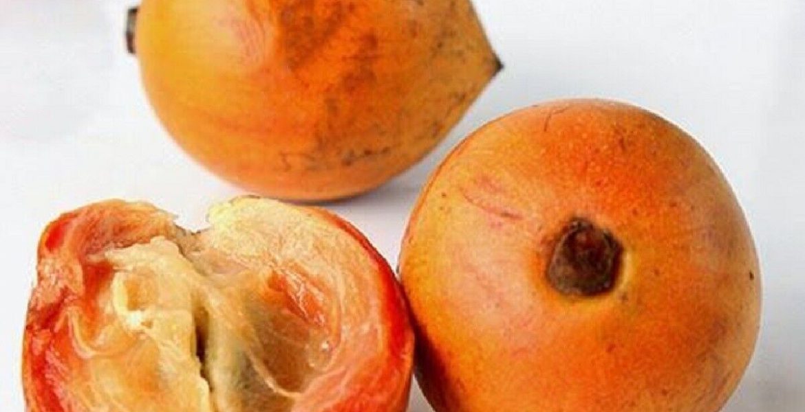 Health Benefits Of Udara Fruit