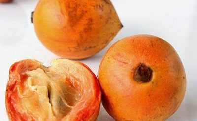 Health Benefits Of Udara Fruit