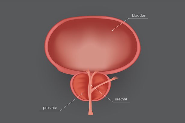 Prostate Enlargement In Men