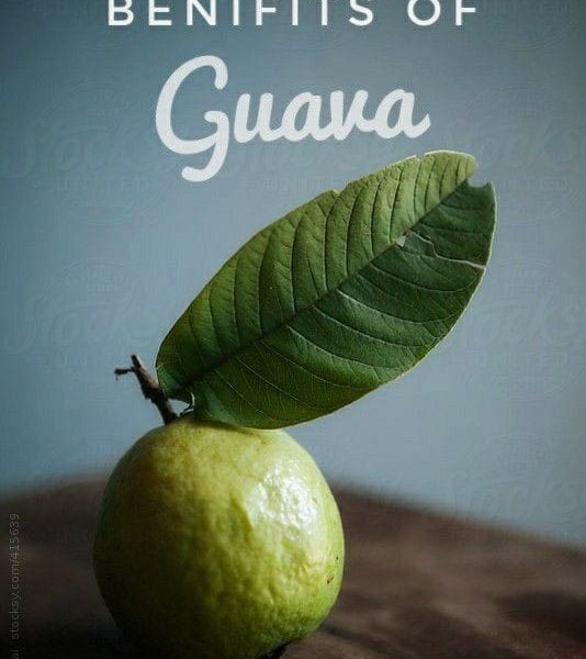 20 Health Benefits Of Guava Leaves