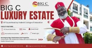 Big C Real Estate Investments In Nigeria