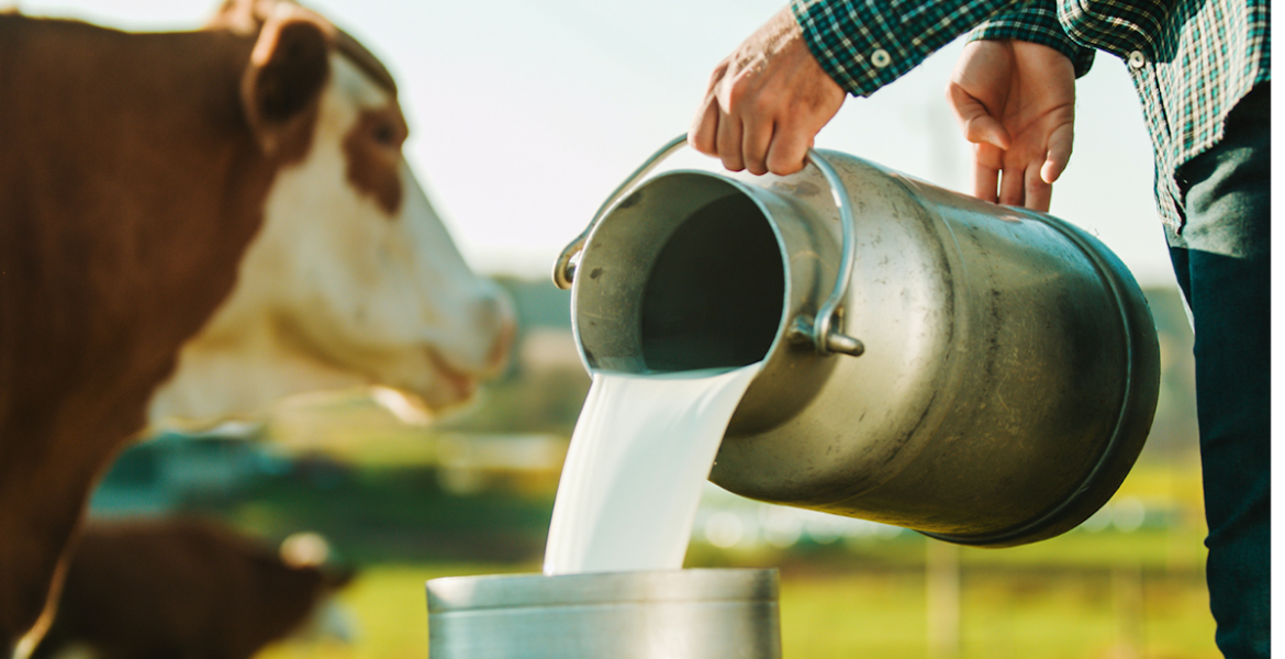 Debunking Myths About Raw Milk: Facts You Need To Know