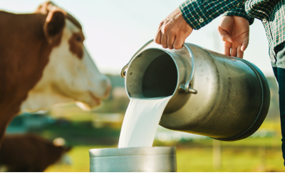 Debunking Myths About Raw Milk: Facts You Need To Know