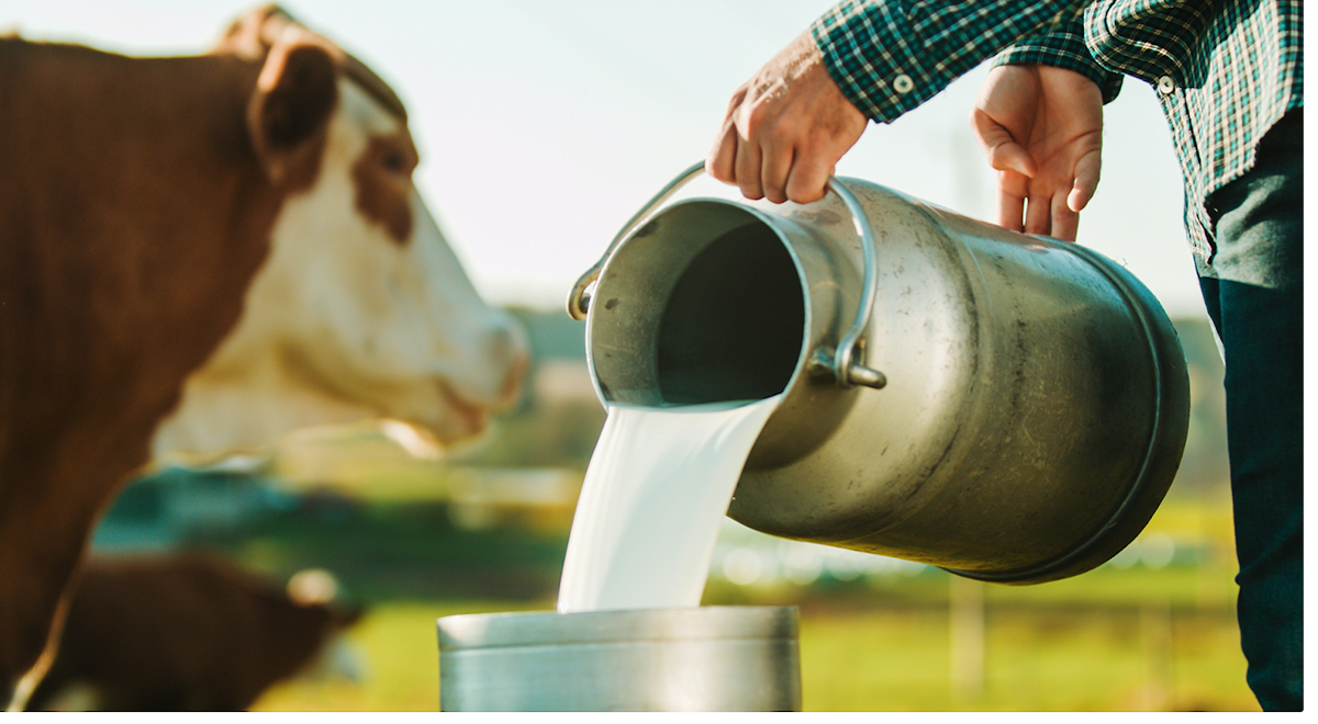 Debunking Myths About Raw Milk: Facts You Need To Know