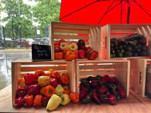 Organic Farming In Nigeria: Rise, Opportunities & Challenges